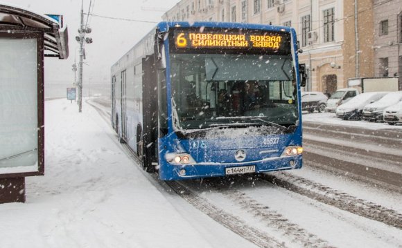 Наземный городской транспорт